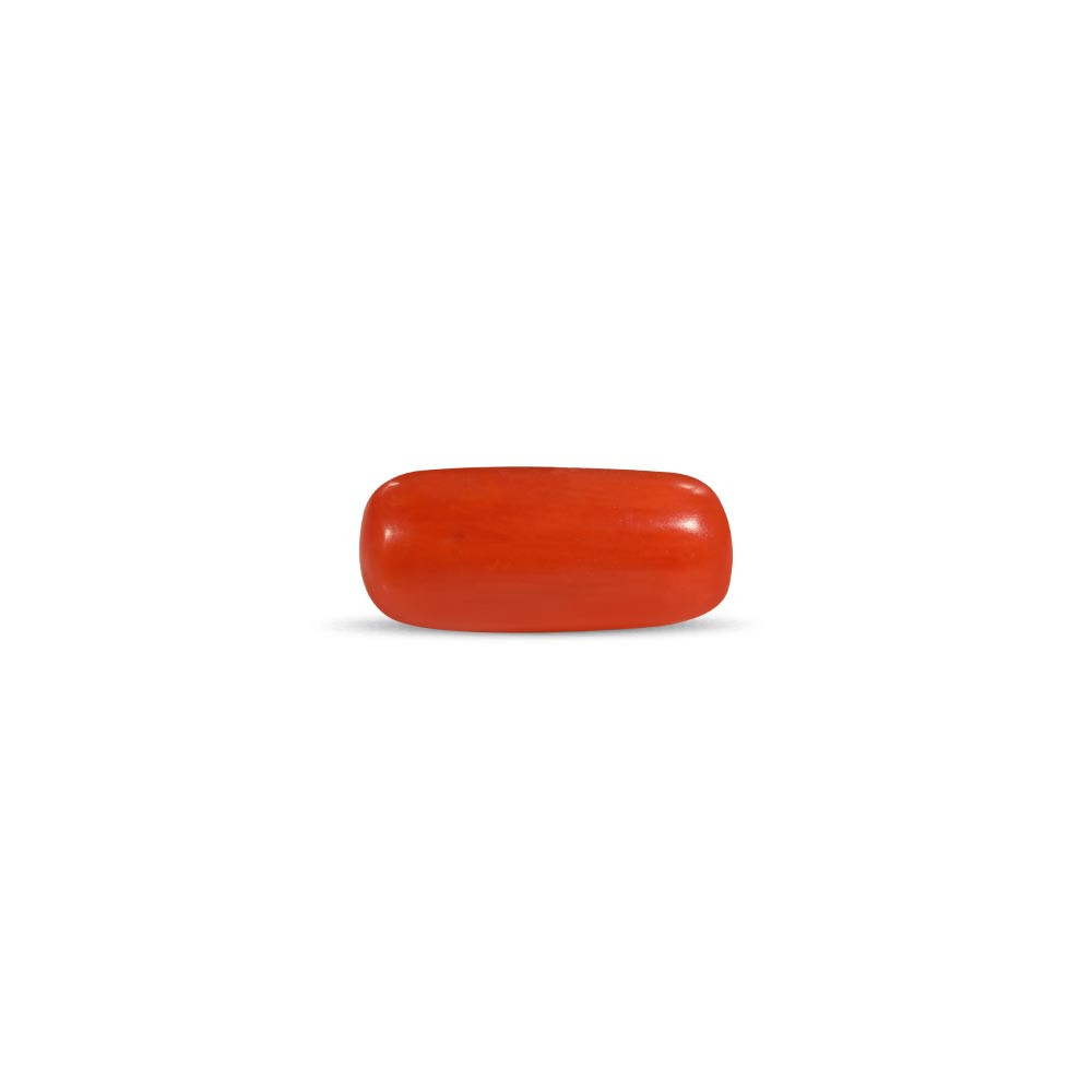 Red Coral (Moonga)