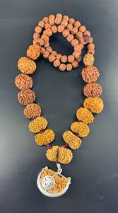 1-14 Mukhi Rudraksha Mala