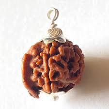 Ganesh Rudraksha