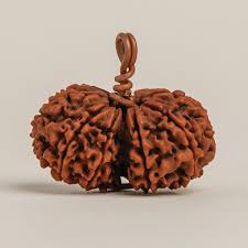 Gauri Shankar Rudraksha